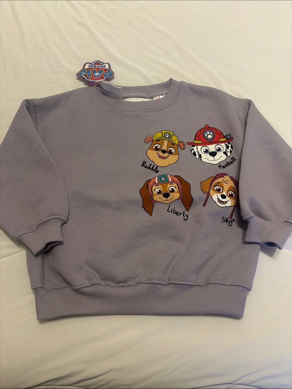 Zara Paw Patrol Sweatshirt NWT 3 years